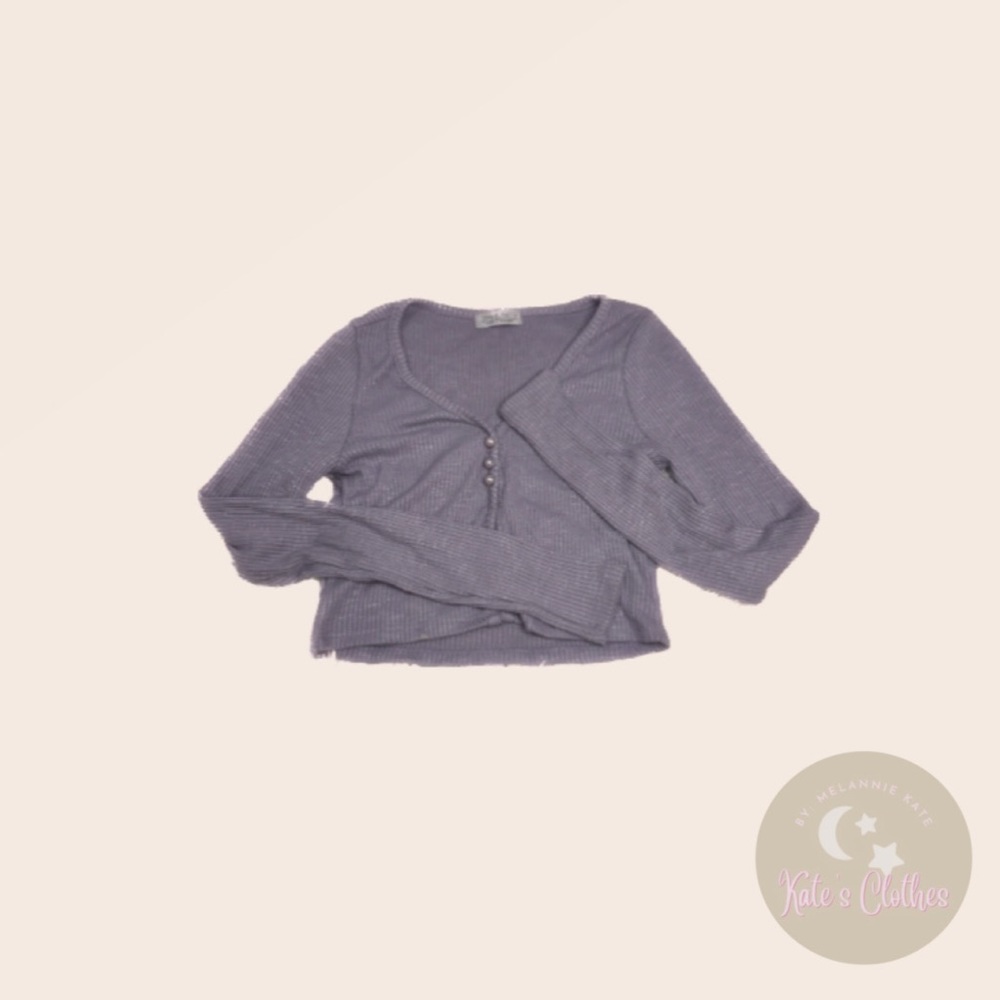 Purple Long Sleeve Crop Top With V Cut